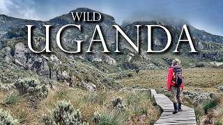Uganda’s Hidden Wild: A 5-day Journey into Africa’s Alpine Backcountry