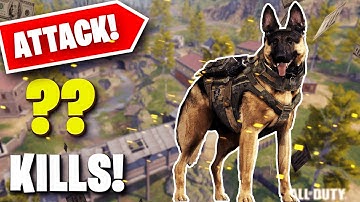 *NEW* K9 UNIT ATTACK DOGS RILEY GAMEPLAY IN CALL OF DUTY MOBILE BATTLE ROYALE! CANINE OBLITERATOR.