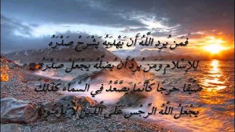 تلاوة خاشعة (ما تيسر من سورة الأنعام  )  ناصر الحمد
