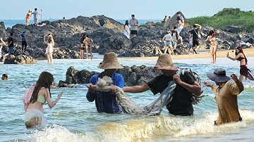 Các Chú Ngư Dân May Mắn - Chài Trúng Mánh Cá Đối Hàng Nghìn Con Tại Bãi Tắm Cực Đẹp