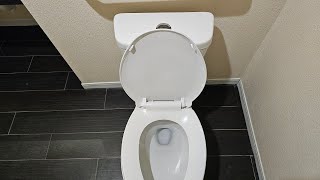 TR #98: Why Buying a New Project Source Pro Flush Dual Flush Toilet is a Pointless Waste of Time