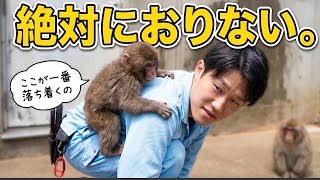 【パンチくん🐵】飼育員パパに粘着度100%！降ろされた子猿がとった行動が天才すぎる♡