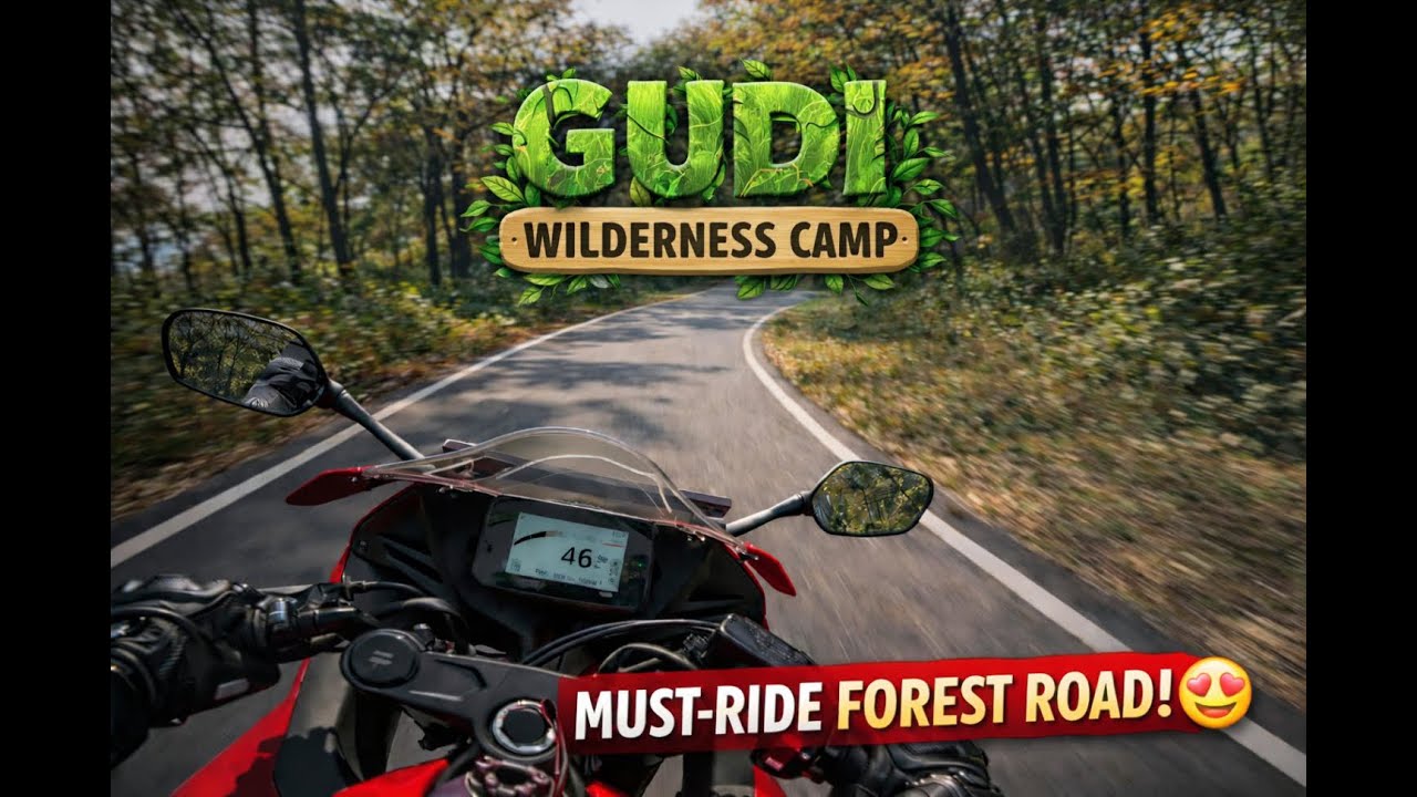Into the Jungle 🌿 | Gudi Wilderness Camp Ride | CBR650R POV 4K