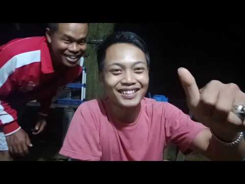 mancing-ikan-patin|2020