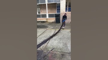 Another tree root removal!
