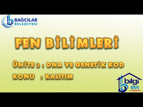 LGS Fen Bilimleri 2.Ünite & DNA ve Genetik Kod 2