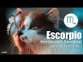 ESCORPIO! INCREIBLE! ES UN ORDEN DIVINO🙌🏼❤️Horóscopo Semanal 18 al 24 Enero2021 HOROSCOPOS Y TAROT