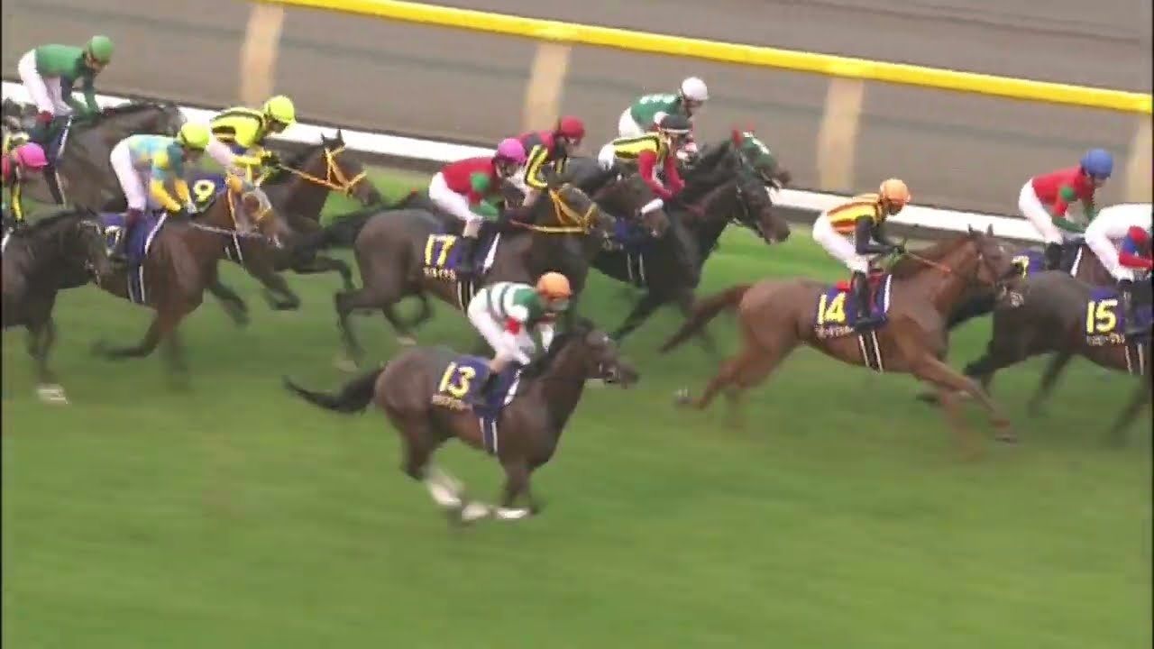 2011年オークス エリンコート - YouTube