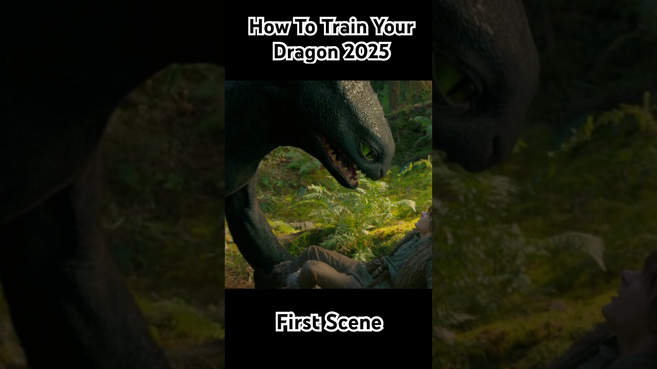 Toothless Vs Boy : How to Train your Dragon 2025 