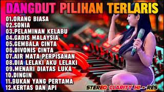 DANGDUT KALEM ORGEN TUNGGAL | ORANG BIASA - KUMPULAN LAGU KALEM PILIHAN TERLARIS