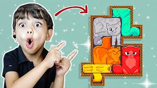 KEDİLERİ DOĞRU YERLEŞTİR VE OYUNU BİTİR !! 😱 Puzzle Cats