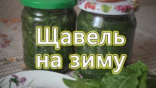 Щавель на зиму,Щавель,як заготовити Щавель, Щавель рецепты,Щавель в банки,рецепти,sorrel Щавель на зиму,Щавель,як заготовити Щавель, Щавель рецепты,Щавель в банки,рецепти,sorrel