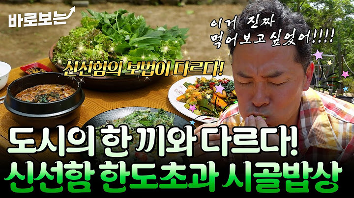 오늘의 메뉴는 무엇인가요? 속세인간(?) 김창옥이 산에 와서 처음 마주한 신선한 시골밥상은?!｜#바로보는나는자연인이다
