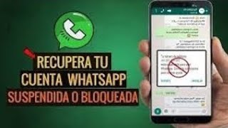 Cómo RECUPERAR Tu CUENTA de WhatsApp SUSPENDIDA / Desbloquear WhatsApp (2021)