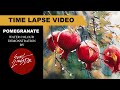 TIME LAPSE VIDEO OF WC DEMONSTRATION - POMEGRANATE - SUNIL LINUS DE . VIDEO LINK IN DESCRIPTION BOX