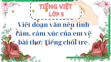 Viết đoạn văn nêu tình cảm, cảm xúc của em về bài thơ: Tiếng chổi tre - Lớp 5