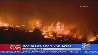 Wind-Driven Bonita Fire Forces Evacuations In Riverside County Community Of Mountain Center