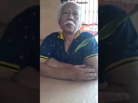 Pengarang dongeng si toleng