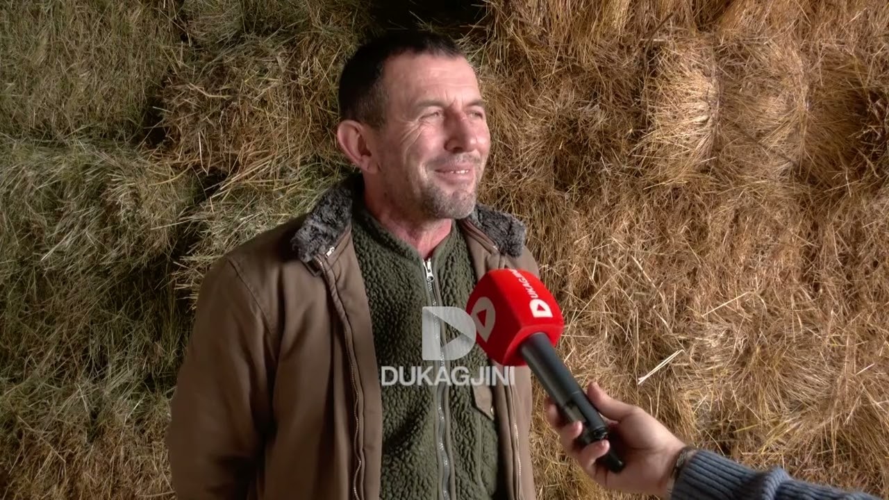 “KTYNEHERE ME GJETË NUSE NË KATUN U KAN ZOR ”, XHAVIT BRAVA NDËR TË PAKTË FERMER NË FSHATIN PUSTENIK