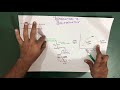 Introduction to Bioenergetics | Part 1 (Biochemistry)