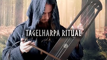 Hour of Tagelharpa is where Vikings dream and ancient forests breathe