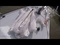 Adding a Code 0 Sail and Sprit Pole  -  Pearson Triton Osprey Refit Part 23