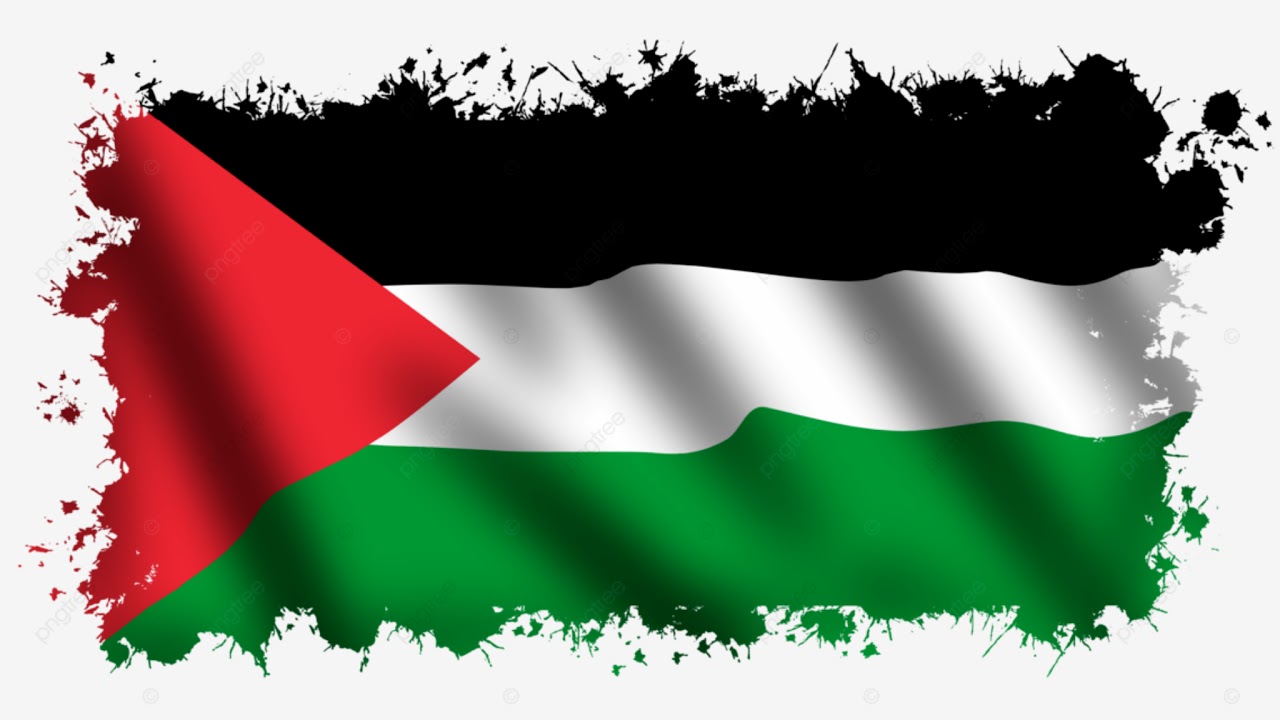 Diffusion en direct de Wateronly