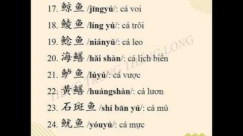 Cá chẽm tiếng trung là gì