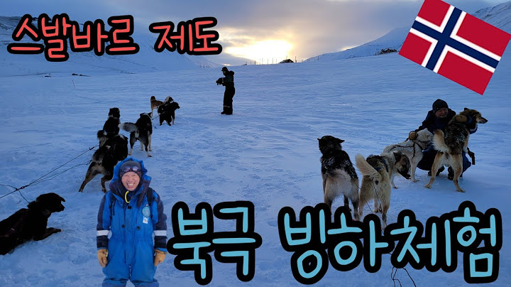 북극 빙하체험 스발바르제도 #북극 #북극여행 #북극곰  #스발바르 #노르웨이여행 #노르웨이 #개썰매 #북극빙하