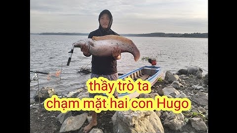 hành trình câu cá nàng hai mới của "thầy trò ta"chạm mặt hai con Hugo hơn 10kg.