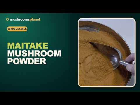 Ground Maitake mushroom powder video review
