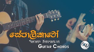 Sepalikawo (සේපාලිකාවෝ) - Sheshan Kaushalya - Guitar Chords By KD Musics