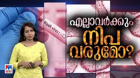 എല്ലാവര്‍ക്കും നിപ വരുമോ? എന്താണ് നിപ? | Nipah virus | What is Nipah Virus? | Explainer