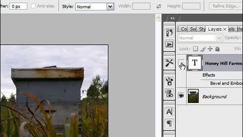 Display or Hide a Layer in Photoshop CS3