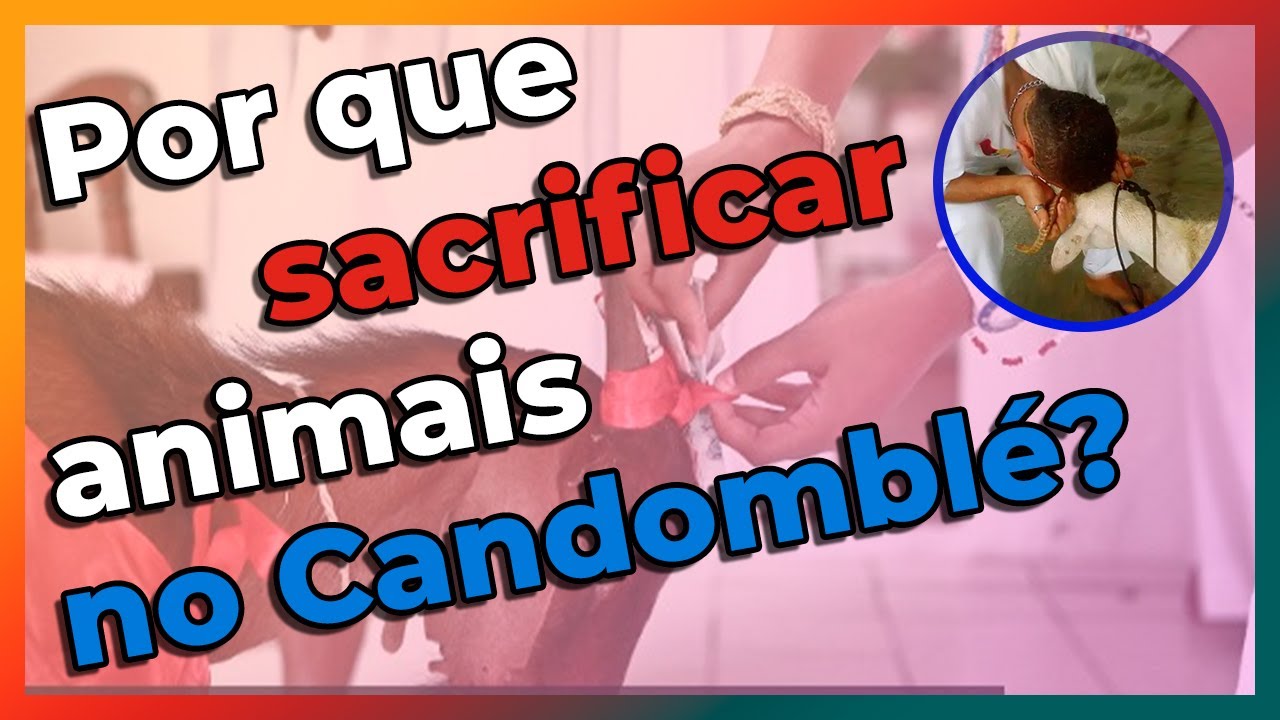 Por que o candomblé sacrifica animais ?