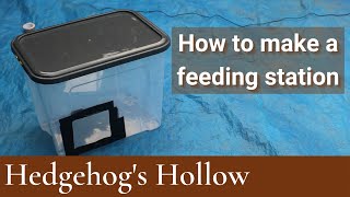 How To Make A Hedgehog Feeding Station | Hedgehog's Hollow