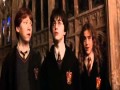 Harry, Ron & Hermione - Friends Forever.wmv