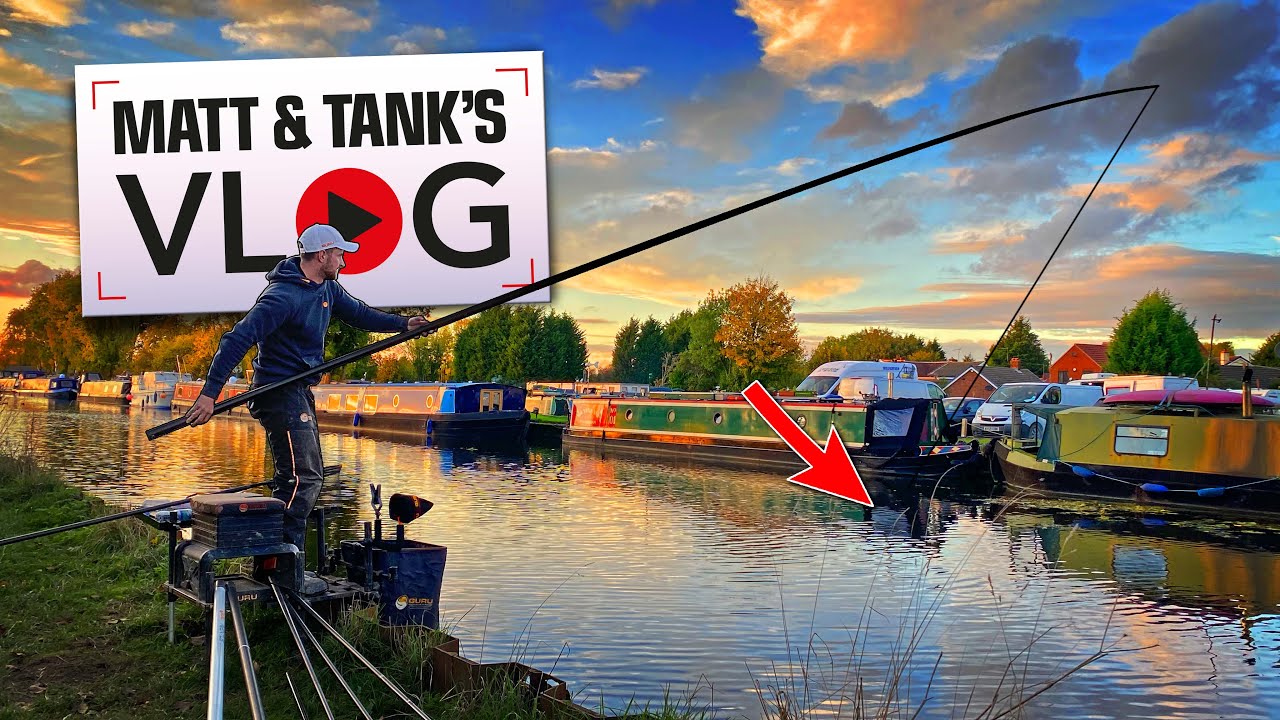 Catching GIANT Canal Fish | Matt and Tank VLOG 