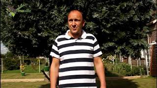 Dominique - Barlin Ma Ville