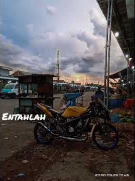 Status wa 30 detik terbaru ingin menyendiri