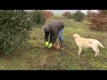 La Récolte des Truffes