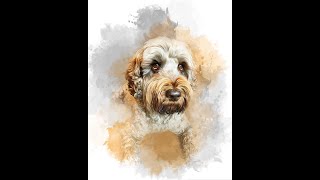 Watson the Labradoodle Vlog - June 2021 by Watson the Warrior 343 views 2 years ago 6 minutes, 35 seconds