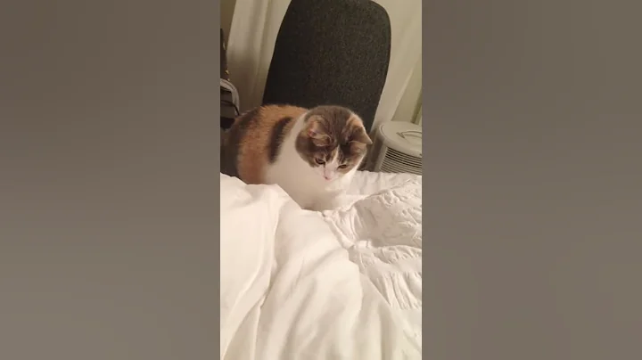 Coco attacks!