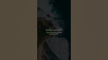 تلاوة تريح القلب  😪 حالات واتس آب 🖤. #1if_قرآن