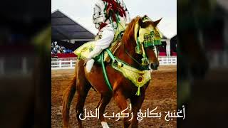 أغنية بكاني ركوب الخيل هدية لمحبي الخيل