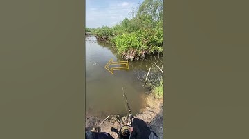 [NAMLUREFISHING] câu cá chẽm bằng mồi pop MEGABARRA #megabarra #fishing #cauca #barramundi