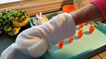 Counting Carrots with Rabbit and Mrs. T