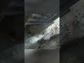 MW3 intro was dope! #callofduty #cod #gaming #mw3 #shorts #viralshort #gamingshorts