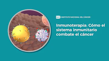 ¿Cuáles son dos cánceres del sistema inmunitario?