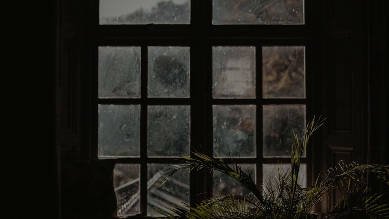 𝚋𝚎𝚑𝚒𝚗𝚍 𝚠𝚒𝚗𝚍𝚘𝚠𝚜. 